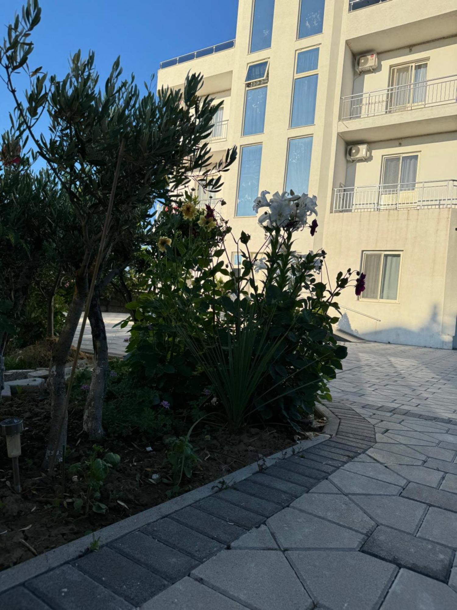 Kunevain Guest House Lezhe Ngoại thất bức ảnh